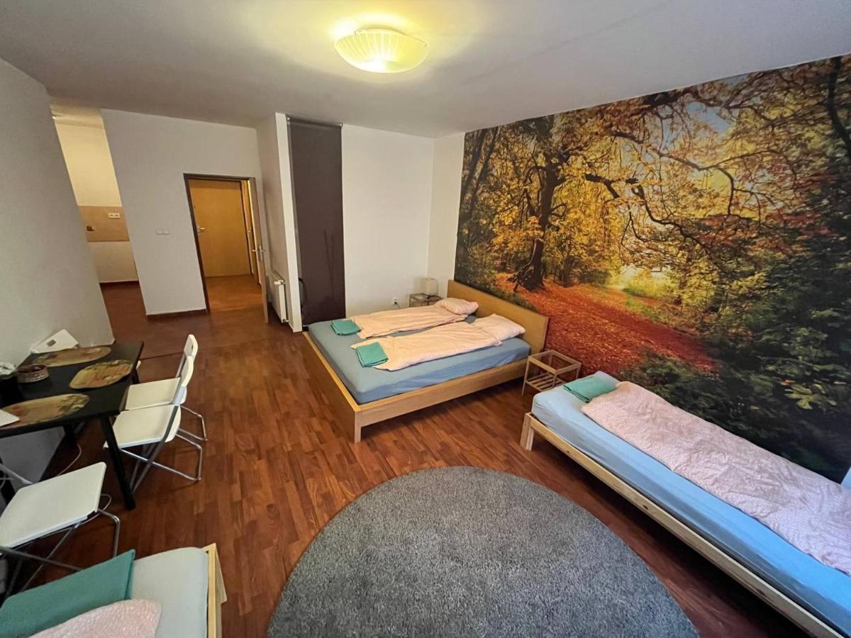 Apartments Spolkova Бърно Екстериор снимка